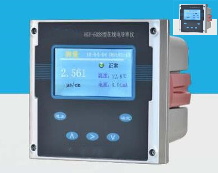 在线电导率仪 WS3-HGY-6028