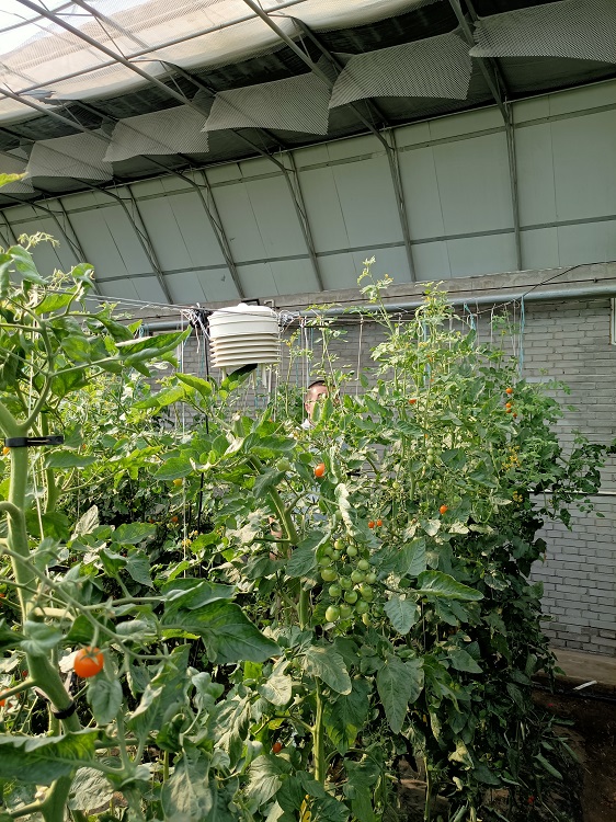 室内检测显示站（中西器材）M339731