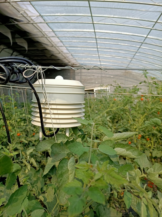 室内检测显示站（中西器材）M339731