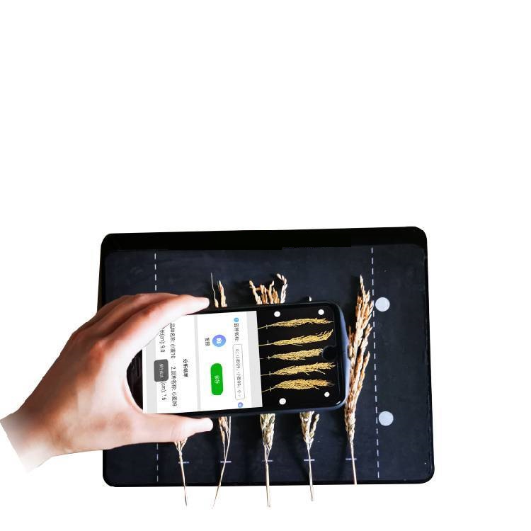 麦穗形态测定仪/麦穗形态测定仪（中西器材）M342397-LBMS-X-II