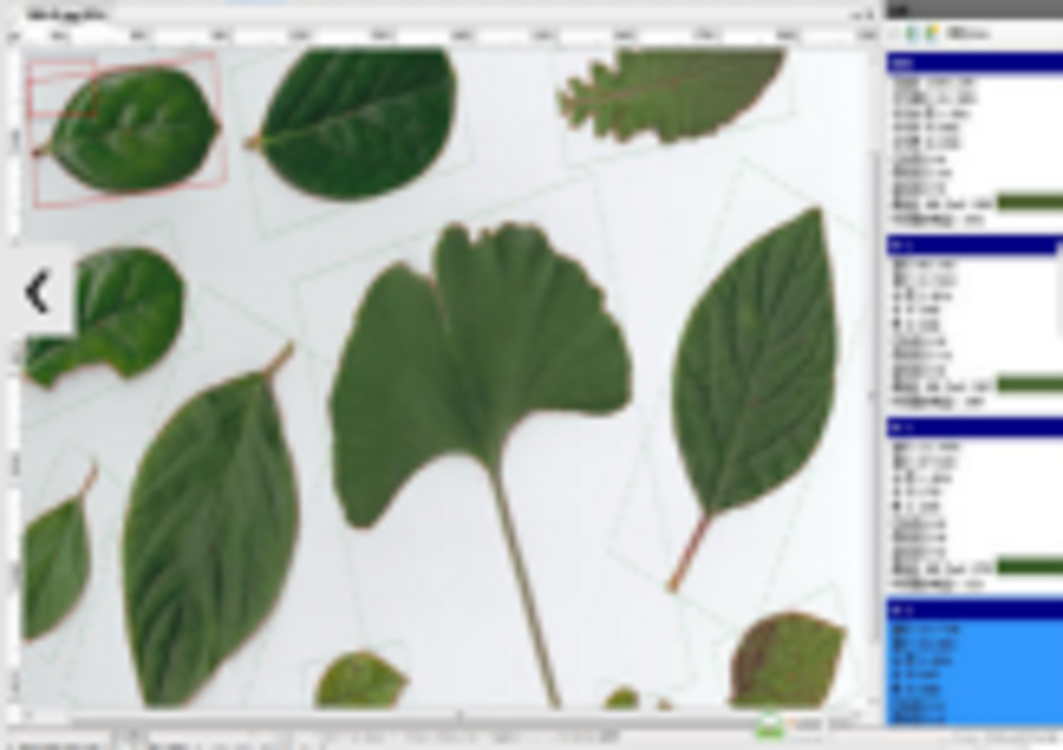 植物圖像分析儀/葉面積測量儀（）M343565-LA-S