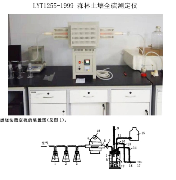 森林土壤全硫测定仪 符合LYT 1255-1999标准（中西器材）M346092