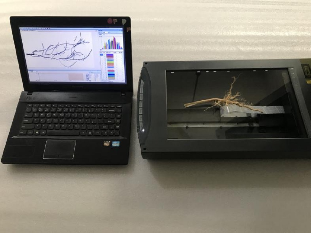 根系分析系统（中西器材）M348490-GXY-A