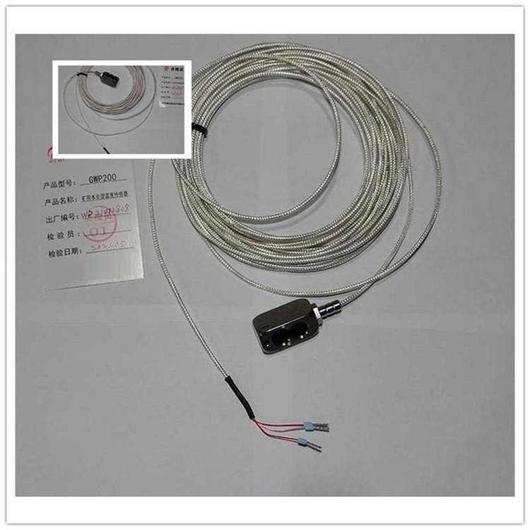 温度传感器/贴片磁吸式测温仪（标配10米线）GWP200