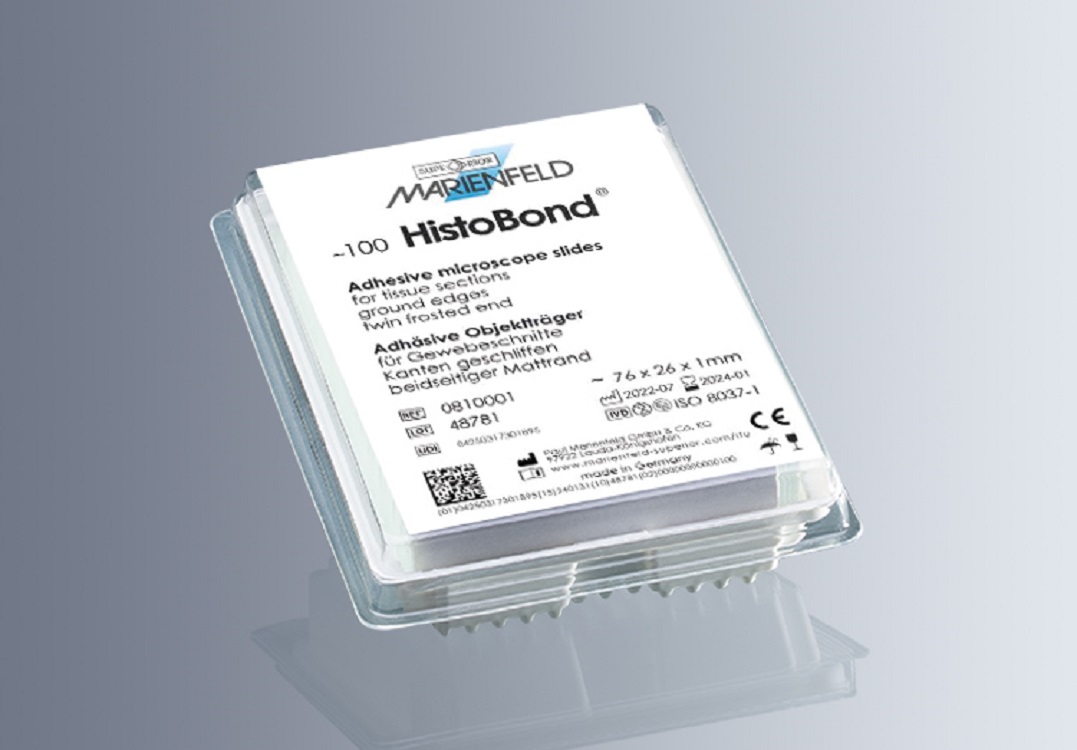 德国Marienfeld粘附载玻片AP-0810000/AP-0810001
