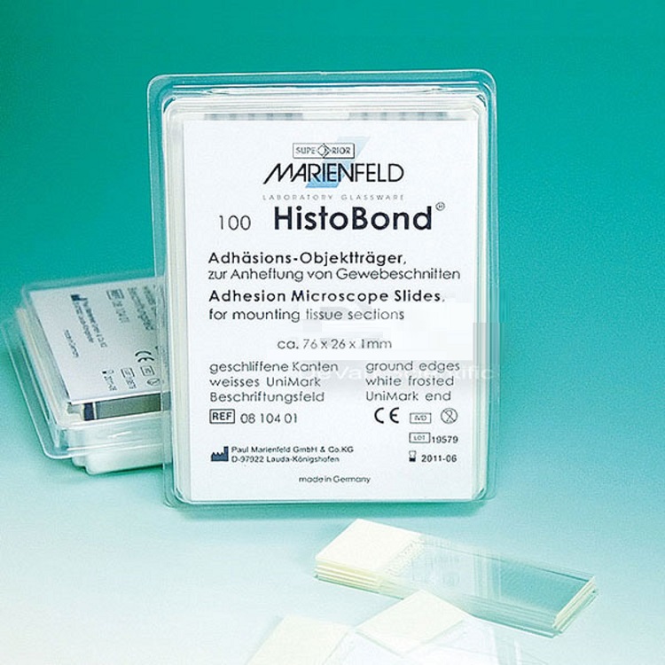 德國Marienfeld粘附載玻片 AP-0810401