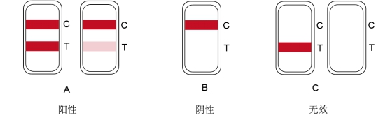 牛病毒性腹泻病毒抗体检测试纸卡XLSQ--AJB202