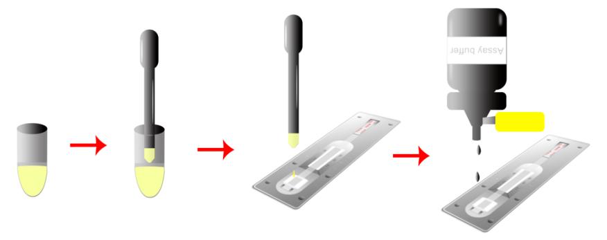 牛病毒性腹泻病毒抗体检测试纸卡XLSQ--AJB202