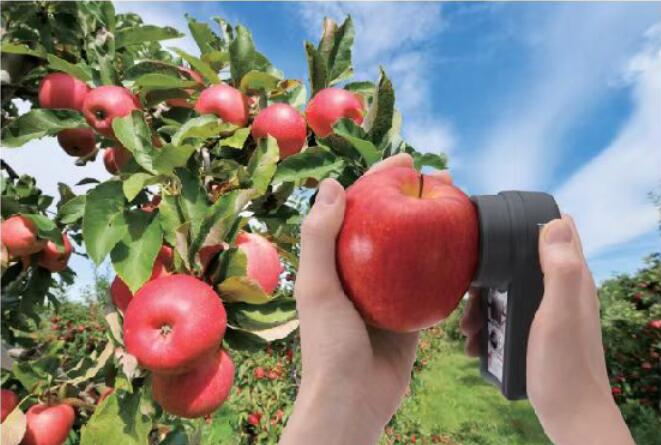 苹果无损糖度计M31/PAL-HIKARi 5