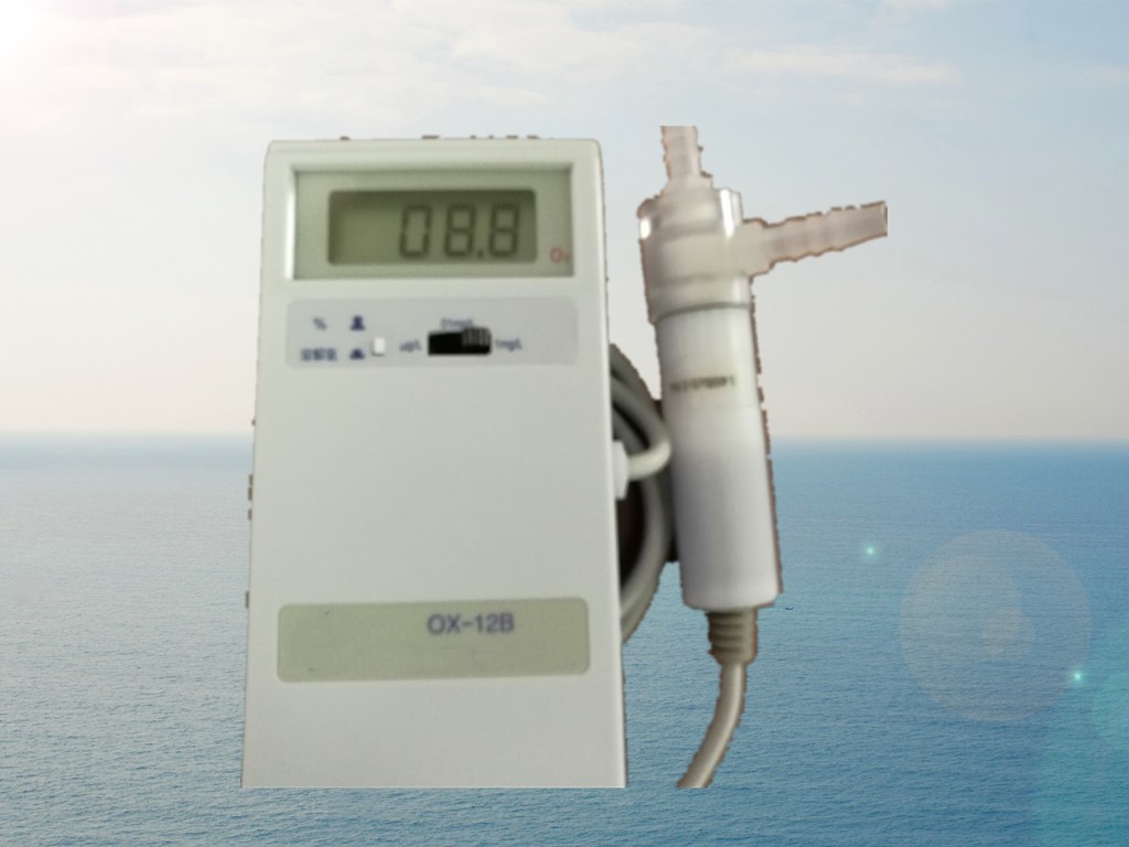 便携式溶解氧测试仪/测气体,老款SM102-OX-12B-HB