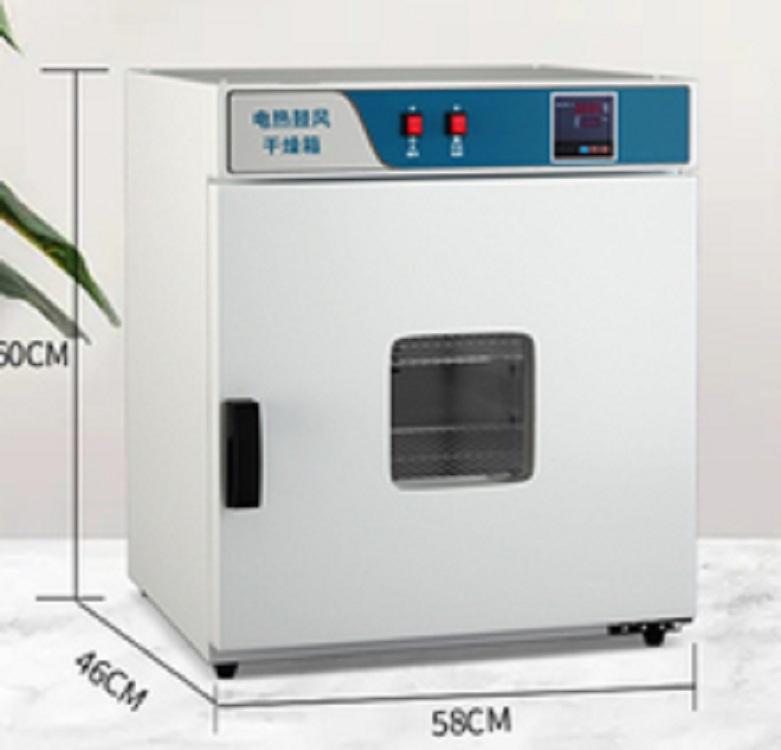 电热恒温干燥箱（不锈钢内胆带鼓风）（）M405439