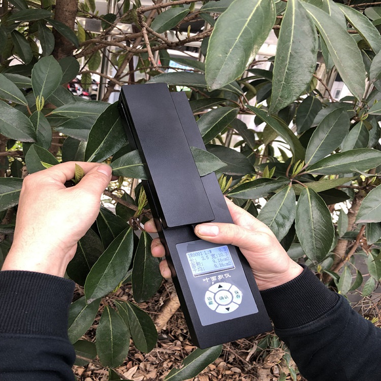 活体叶面积测定仪/叶面积测定仪（）M405660-YMJ-G