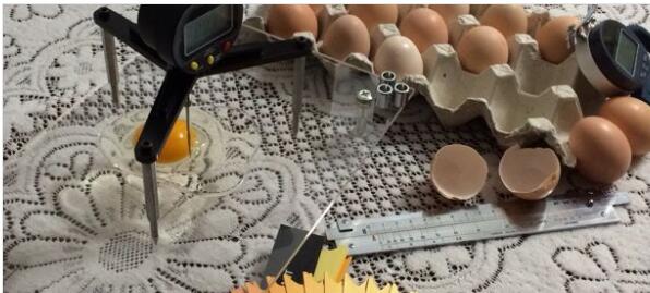 便携式鸡蛋测定仪SX37-MA2 