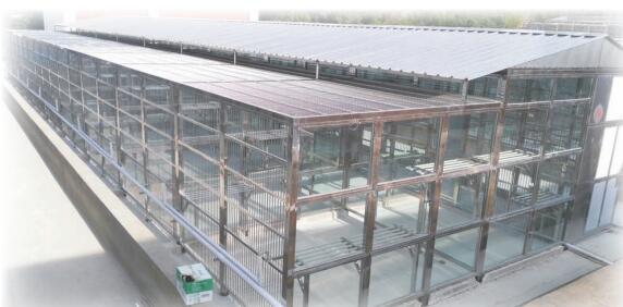 不锈钢狗笼JV222-DA2G