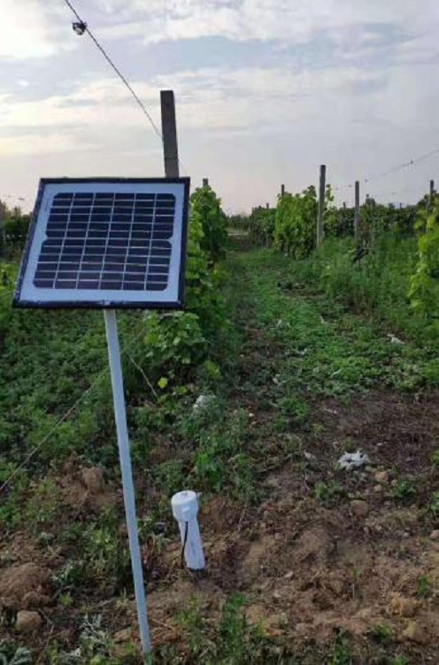 土壤管式剖面水分仪(中西器材)M6774-LBGSQ-5