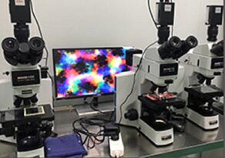 视频显微镜（含显示屏）CSW-H130A