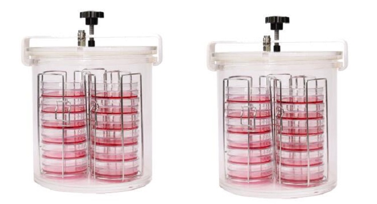 厌氧培养罐/厌氧罐（10L）JX240-AG100