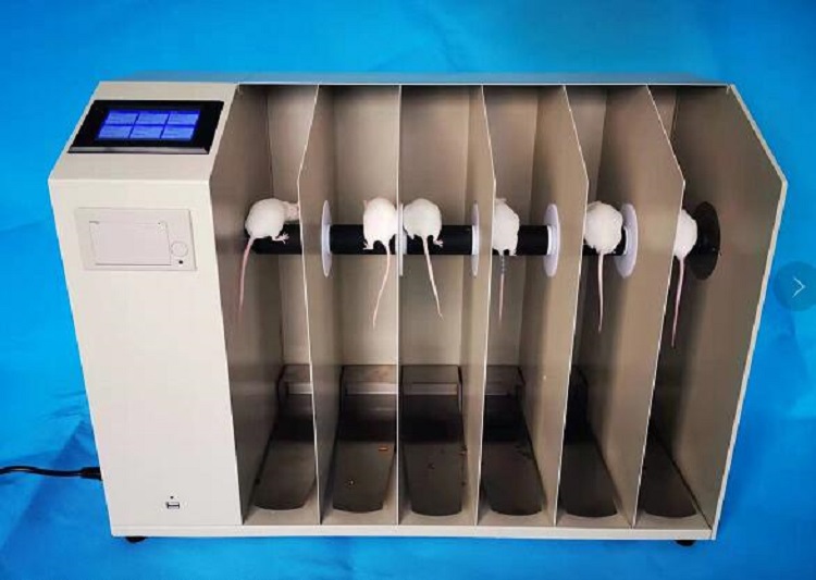 大小鼠转棒式疲劳仪BD08-YLS-31B