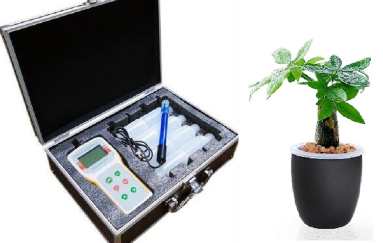 便携式二氧化碳离子计/水中二氧化碳测定仪（中西器材）KT96-BXS-CO2