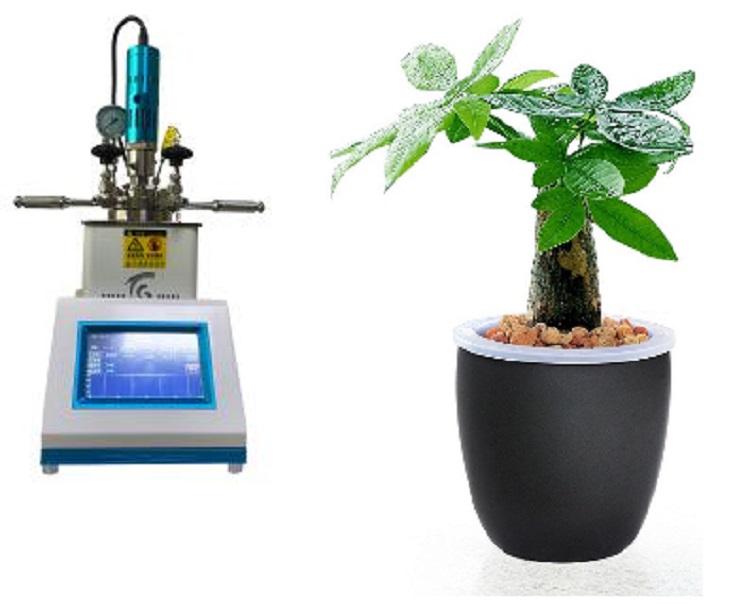 实验室反应釜/机械反应釜（100ml）LN12-GR-100/SD-L