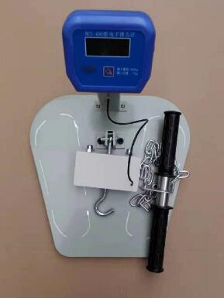 运动体质检测仪器-电子背力计YK22-BCS-400