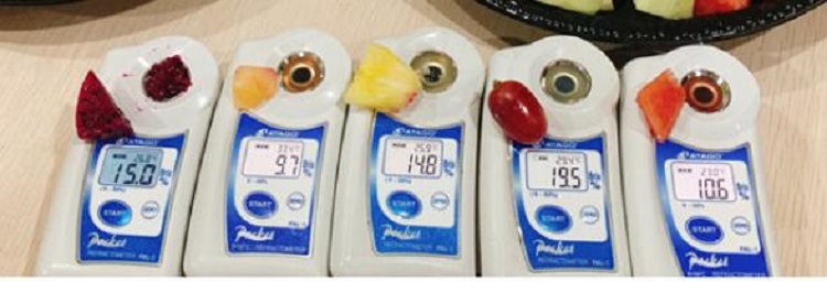 数显折射仪/水果甜度检测仪 糖度仪WH1-PAL-1