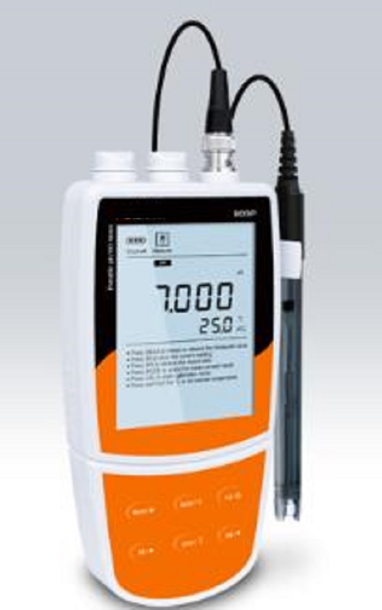 便携式pH/溶解氧仪（pH mV 相对 mV 溶解氧 温度）DN40-Bante903P-UK
