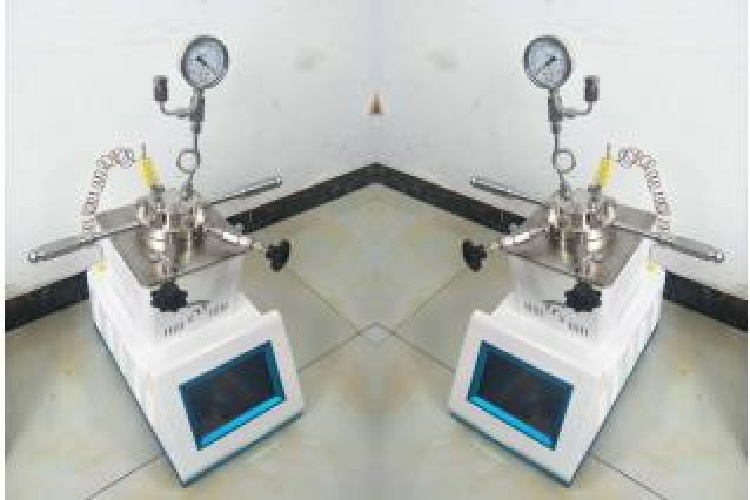 磁力搅拌反应釜CM01-GR-1000/SC-L