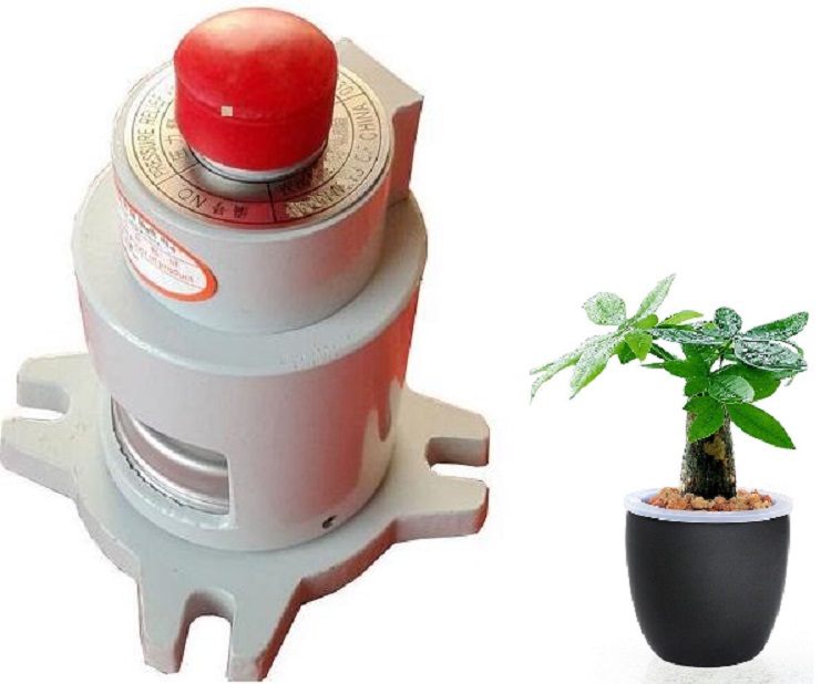 压力释放阀YK22-YSF7-55/50KJHB