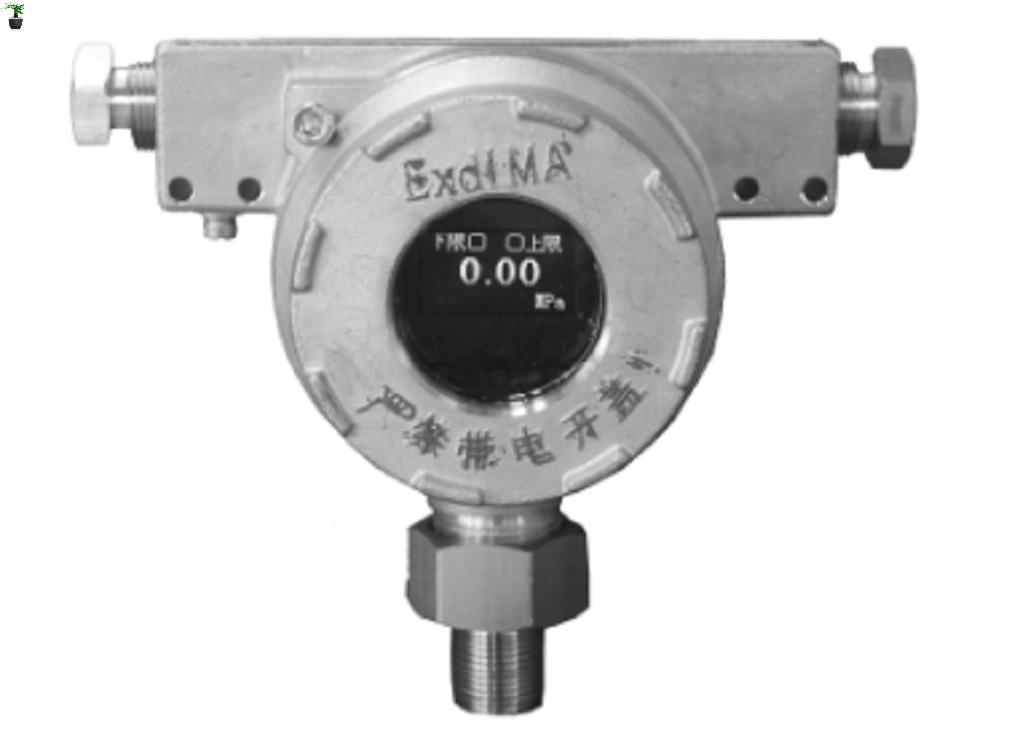 型压力变送器(安标证)BYD10