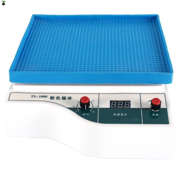 脱色摇床(数显定时)(改进型)JRC1-TS-1000
