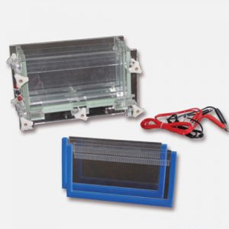 双板夹芯式垂直电泳仪BL61-DYCZ-30D