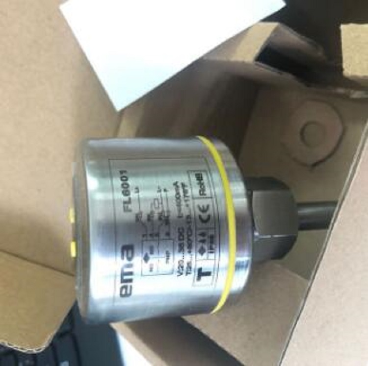 EMA 电子式流动传感器EM12-FL6001