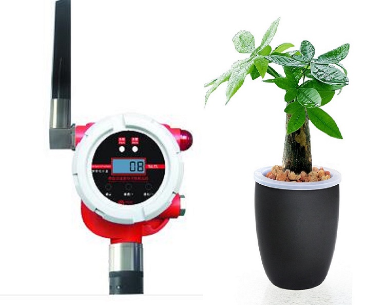 无线型红外可燃气体探测器AR05-GT-FGA1000W