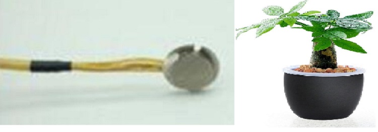 高温热流传感器 （美国）TF12-HT-50