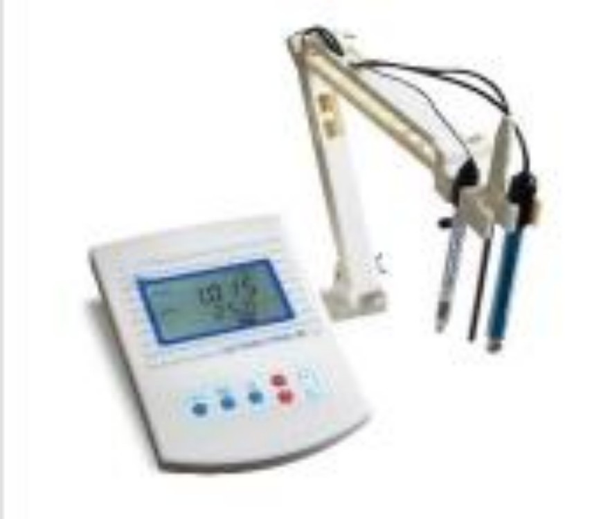 钠离子浓度计/钠度计(中西器材）SKY3PNaS-50/M188444