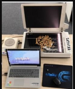 考种分析系统/玉米考种分析系统(中西器材）LB06/M232772