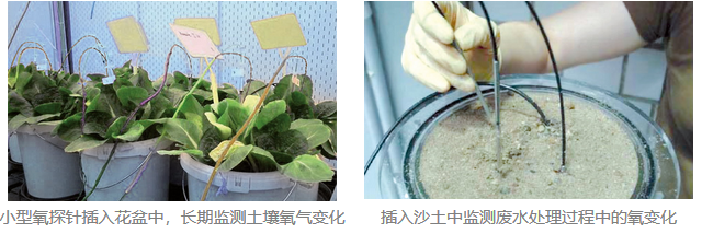 便携式土壤光纤测氧仪Microx4