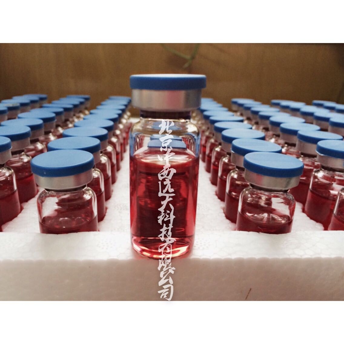 硫酸盐还原菌细菌测试瓶SRB/腐生菌细菌测试瓶TGB/铁细菌测试瓶FEB（中西器材）ZW01-M302524
