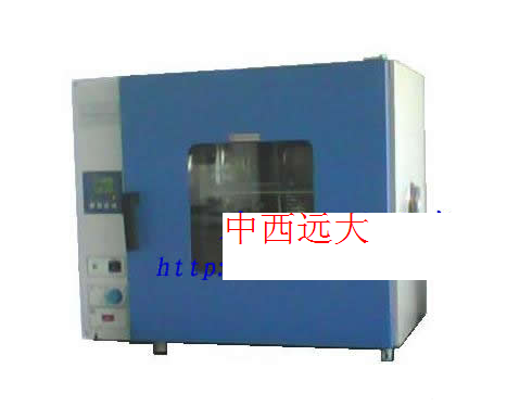 經濟型電熱鼓風干燥箱DHG-9140A