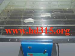 小动物跑步机（国产）TM95/HP8100