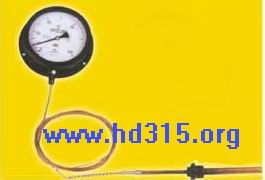 壓力式溫度計（0-100度，10M線）HW544-WTZ-280