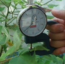 叶片厚度计SJN-YH-1