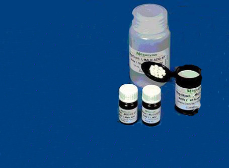 Ambersep200氢离子交换树脂 2.5Kg 爱尔兰ZS21-JKY/G-AMBH